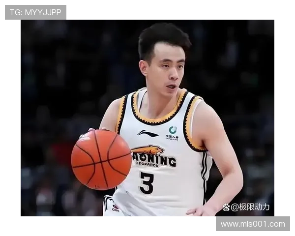 赵继伟23分辽宁险胜北京,玄冥二老脚步沉重卫冕前景堪忧 赵继伟23分辽宁险胜北京,玄冥二老脚步沉重卫冕前景堪忧